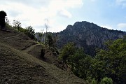 60 Prati ben rasati al Passo Barbata con vista in versante nord Suchello